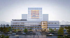 Seoul National University Baegot Hospital  
